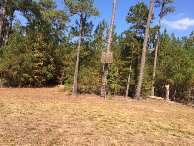 Existing Hunting stand, 45 ac. tract